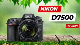 Best Nikon D7500 2023 Review best top [upl. by Ocsinarf]