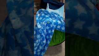 Long Blanket Structure Whos in There Dads havin fun with His Cats So Cute cutecat shortvideo [upl. by Ainit650]