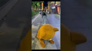 el mejor tiktok de funny el oso gracioso [upl. by Rorry]