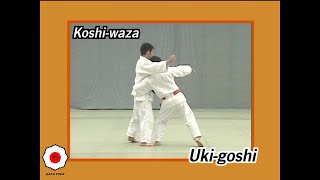 KODOKAN Nage No Kata KOSHI WAZA didáctico [upl. by Lissner]