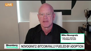 Novogratz Says Bitcoin Participation Is Just Starting [upl. by Greeson]