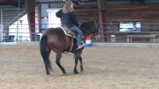 Lenas Smooth Cat  flat work  clip 1  Valley View Ranch [upl. by Ahtikal]