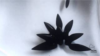 Ferrofluid  Multiples attractors [upl. by Ydnak]