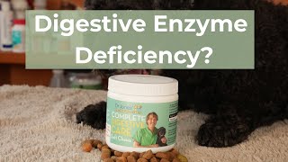 Does Your Dog Have a Digestive Enzyme Deficiency [upl. by Oberon]