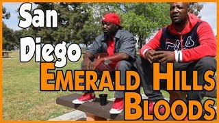 Emerald Hills Bloods history from Southeast San Diego pt1of2 [upl. by Merline308]