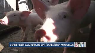 CERERI PENTRU AJUTORUL DE STAT IN CRESTEREA ANIMALELOR [upl. by Orlanta280]