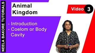 Animal Kingdom  NEET  Introduction  Coelom or Body Cavity  Neela Bakore Tutorials [upl. by Magdala]