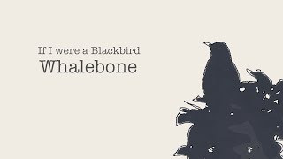 If I were a Blackbird  Whalebone Traditional Tune [upl. by Enywad9]