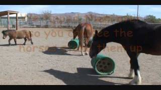 Natural grazing slow hay feeder [upl. by Hermina]