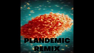 Plandemic Remix [upl. by Malvino458]