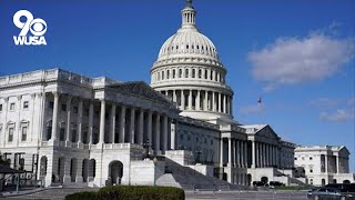 VERIFY Heres what an earmark is and why there is controversy over their return to Congress [upl. by Giwdul903]