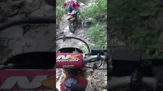 Wasp sting hardenduro enduro dirtbike offroad viral thailand [upl. by Canice]