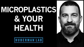 The Effects of Microplastics on Your Health amp How to Reduce Them [upl. by Won700]