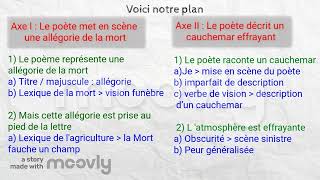 Leçon n°5  Elaborer un plan de commentaire [upl. by Carny]