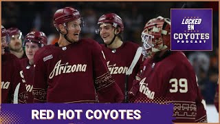 Watch Out the Coyotes are Red Hot [upl. by Chaing]