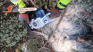 Stihl 400 C Geported vom Kumpel Testen [upl. by Ainehs]