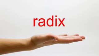 How to Pronounce radix  American English [upl. by Garrick]