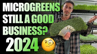 Should You Start A Microgreens Business In 2024 The Truth [upl. by Attenaz]