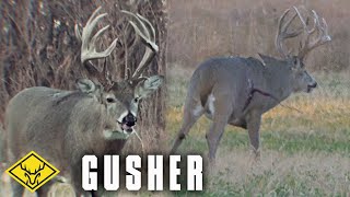 GUSHER  85yr Old Buck at 20 yards Graphic Warning [upl. by Forbes]