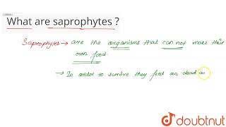 What are saprophytes   CLASS 10  NUTRITION  BIOLOGY  Doubtnut [upl. by Aracahs638]