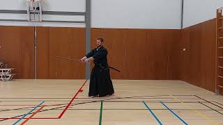 iaido Performing the znkr seitei iaido 112 [upl. by Eniawed683]