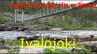 Hammastunturin erämaa Ivalojoen Kultala [upl. by Macguiness500]