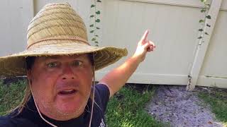 Donnie Baker Gives a Live Update on Hurricane Irma plus Survival Tips [upl. by Roseanna]