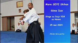 Aïkido  Mare Seye Shihan 6ème dan au Dojo VDB Mai 2024 Aikido 1ère partie [upl. by Noled803]