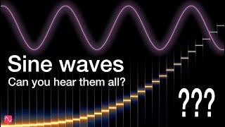 Sine wave frequencies  Can you hear them all [upl. by Eillek399]