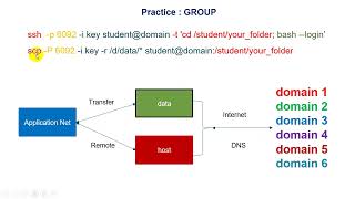 SS15 Application And DNS [upl. by Morris]