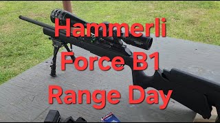 Hammerli Force B1  Range Test [upl. by Nwahsor]