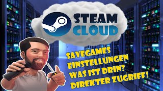 Steam Cloud  Steam Savegames herunterladen  Alles über die SteamCloud  Direkter Zugriff etc [upl. by Allard]