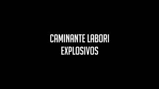 Caminante Labori  Explosivos 1993 [upl. by Otrebmuh]