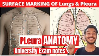 Surface marking of lungs and pleura anatomy  Parietal pleura anatomy [upl. by Ylurt765]