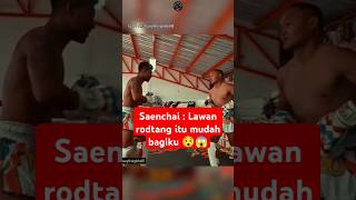 Rodtang vs legend muaythai Saenchai 😯😱 boxing boxingskill fight mma bangghalyh [upl. by Ahseikan]