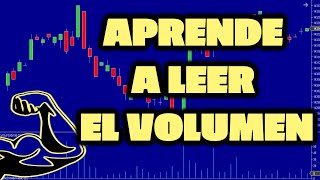 ¿Cómo Leer el Volumen para Mejorar Tu Trading [upl. by Malcah218]