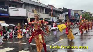 Esala Perahera 2024 7 esalaperahera srilanka kandy [upl. by Linehan]