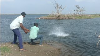 Amazing fishing video🎣 unbelievable catching rohu fishes in the river single hook fishermans🐟 [upl. by Oberg576]