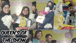 queens of the show in Hyderabad at Telangana Canine association pets carnival  cats show in Hyd [upl. by Neumeyer750]