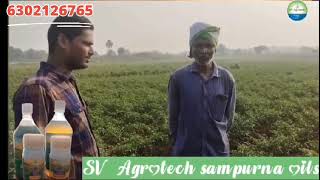 SV Agro tech company వారి నూనె మందులు ఏ విధంగా పనిచేశాయి అనేది రైతు మాటల్లో ఒక్కసారి వినండిoils [upl. by Aikat]