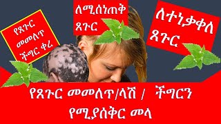 ለጸጉር መመለጥላሽ ምርጥ መላ  Hair loss or Alopecia ለጸጉር መነቀል ፣ መሰንጠቅ ምርጥ በቤት ውስጥ የሚዘጋጅ ethiopia [upl. by Valle117]