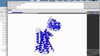 pymol 7 using the sequence display [upl. by Anilehcim534]