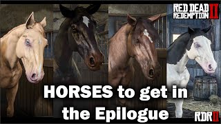 HORSES to get in the Epilogues in Red Dead Redemption 2  Unique coats and rare horse [upl. by Nylatsirhc]