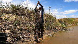 PEGANDO PEIXE INVASORES DO RIO PESCARIA DE PENEIRÃO [upl. by Inavoig420]