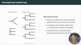 Phylogenetic trees the basics [upl. by Anilam542]