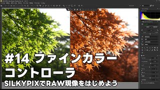 SILKYPIXでRAW現像をはじめよう 14 ファインカラーコントローラ [upl. by Alyks]