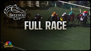 Breeders Cup 2024 Goldikova Stakes Full Race  NBC Sports [upl. by Gleich240]