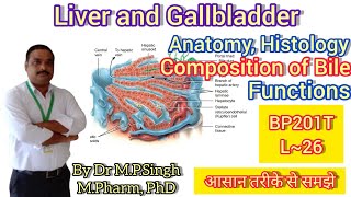 Liver amp Gallbladder  Composition of Bile  Functions  Human Anatomy PhysiologyII  BP201T  L26 [upl. by Dorise849]