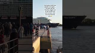 Schwarzer Humor auf Kreuzfahrtschiff ￼😂👀 humor kreuzfahrt meinschiff [upl. by Ulu]