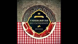 A01 Emelvi  Hip Hop Intro  Underground Delicatessence 2012 [upl. by Armat451]